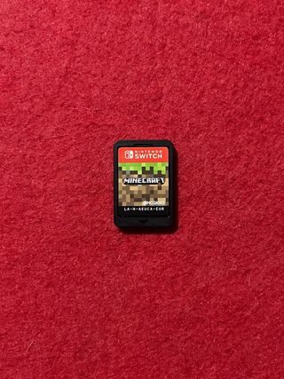 Minecraft Nintendo Switch