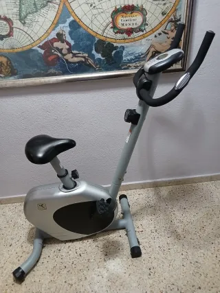 Bicicleta Estática Gris