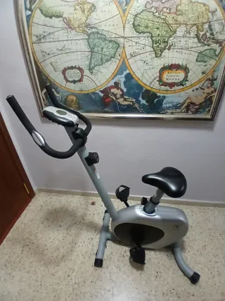 Bicicleta Estática Gris