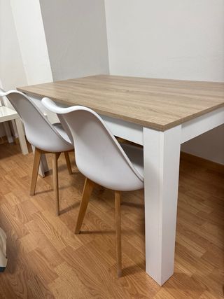 Tavolo da pranzo e 3 sedie in legno e plastica