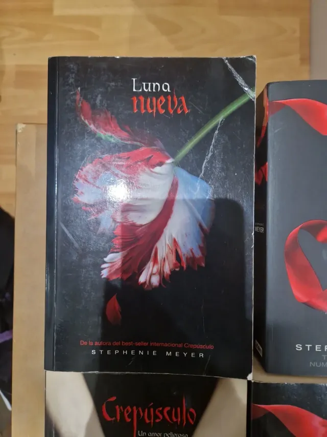 Crepúsculo (Saga Crepúsculo 1) (Spanish Edition)