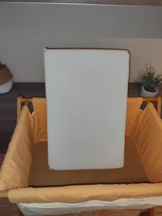 Moisés Minicuna madera