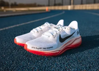 Nike Air Zoom Pegasus 41 EK