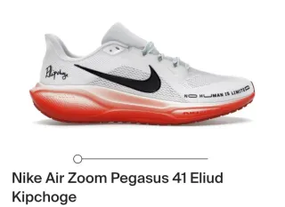 Nike Air Zoom Pegasus 41 EK