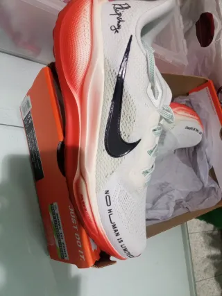 Nike Air Zoom Pegasus 41 EK