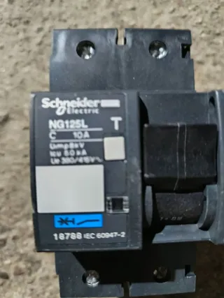 Interruptor magnetotérmico Schneider NG125L 10A