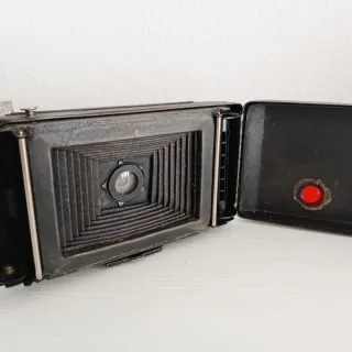Rara Univex Argos (1950)