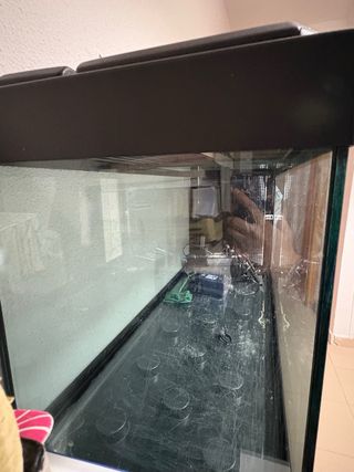 Acuario 240L