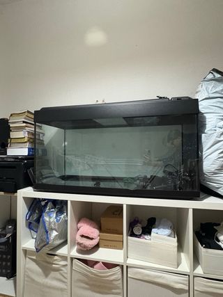 Acuario 240L