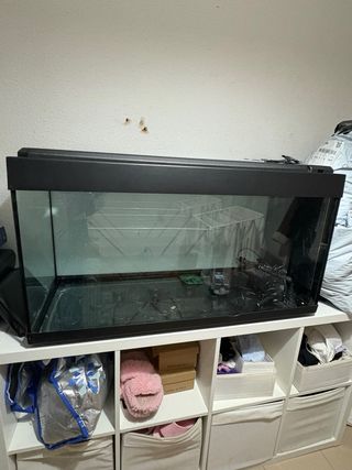Acuario 240L
