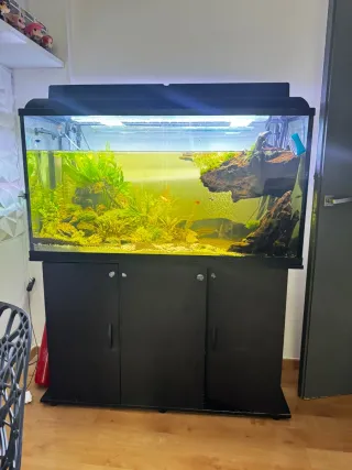 Acuario 280L con filtro, luz y accesorios