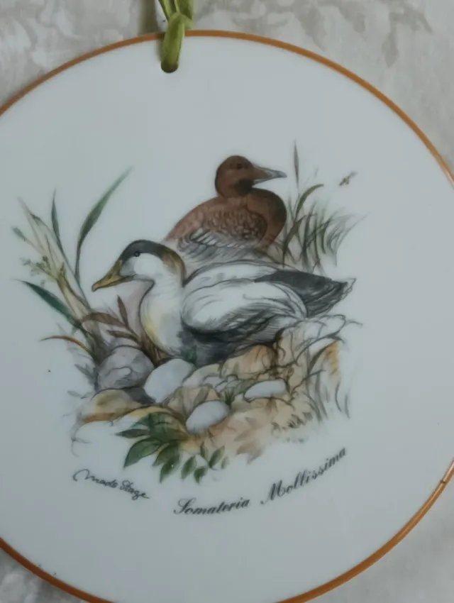 Piatti decorativi da collezione vintage