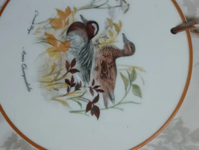 Piatti decorativi da collezione vintage