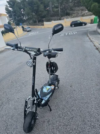 Patinete Eléctrico Raycool