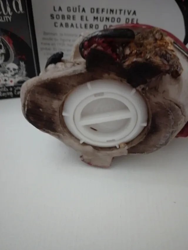 Calavera Pirata Hucha