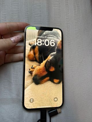 iPhone 12 Pro Max 128GB oro