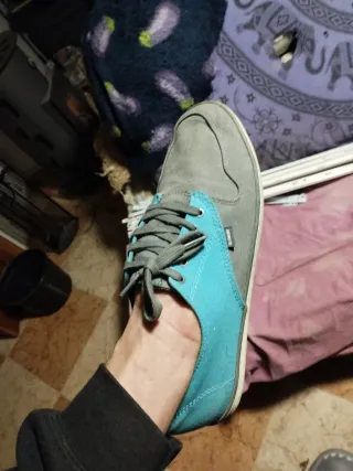 Zapatos Element Tela Gris/Turquesa