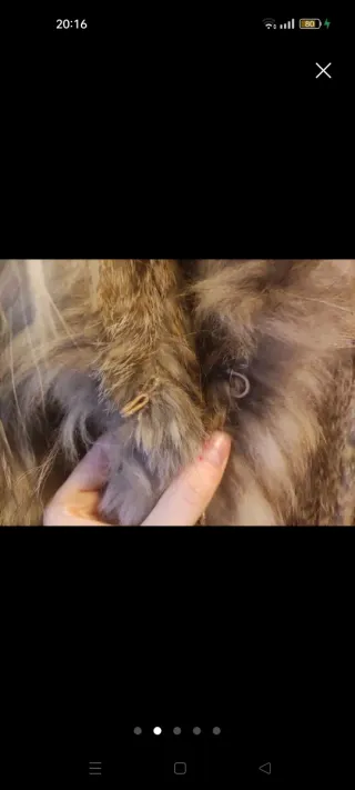 Chaleco de piel beige y marrón