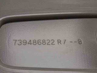 LUZ INTERIOR RENAULT CLIO IV (8)