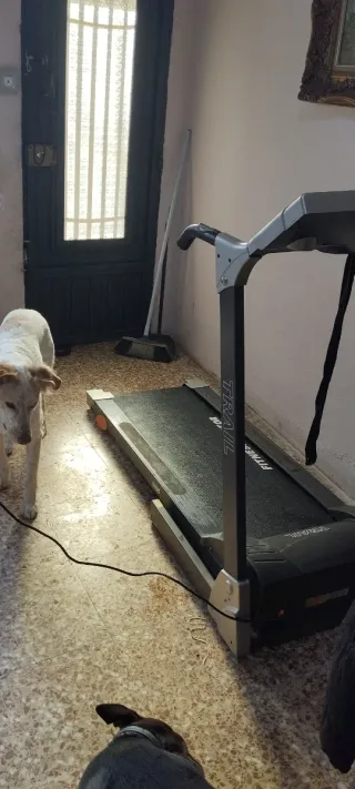 Cinta de Correr Fitness Doctor Trail