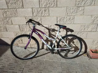 Bicicleta Montaña 26 Casi Nueva