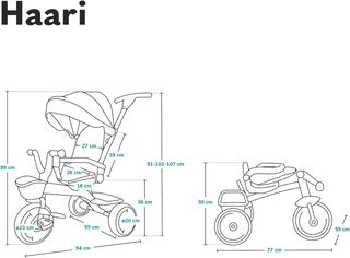 LIONELO Haari Bicicleta triciclo infantil 1-5 años