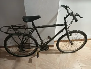 Bicicleta Negra con Portabultos