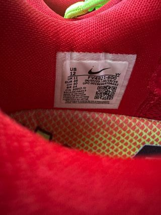 Nike Kobe 6 Protro Reverse Grinch