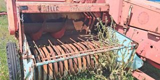 Empacadora Batlle T-362.