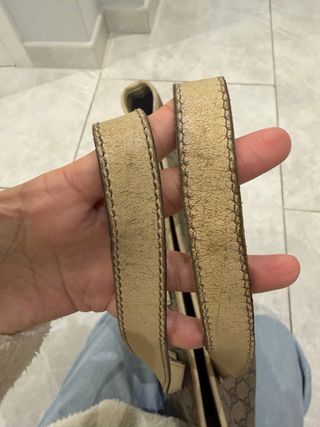 Borsa Gucci Beige/Marrone