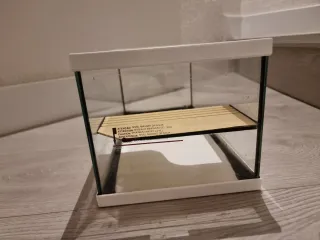 Terrario tortuga acuática Kiwoko con rampa