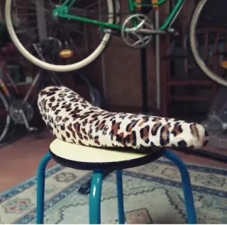 Bicicleta Lowrider Leopardo