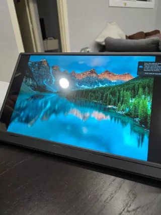 Monitor portatile 15.6 FULL HD con altoparlanti