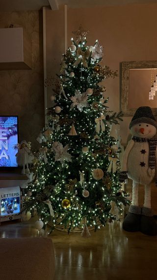 Servicios decoración de navidad