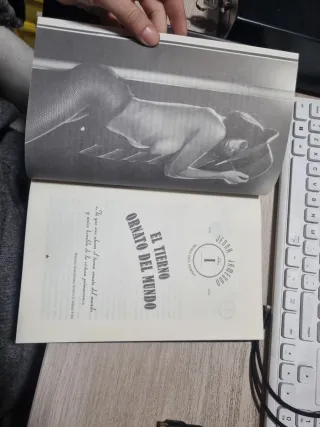 Cómo hacer el amor igual que una estrella del p...