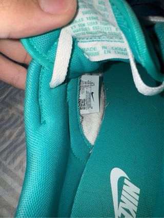 Nike Dunk Low Retro Teal/Blanco