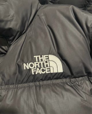 Chaqueta The North Face Negra Plumas