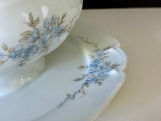 🇫🇷 Salsera Limoges porcelana floral