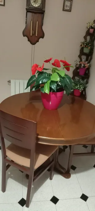 Mesa de madera redonda extensible con 6 sillas