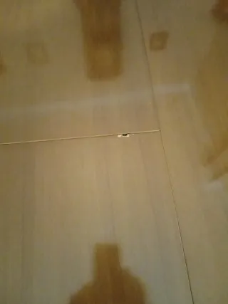 Mesa de madera redonda extensible con 6 sillas