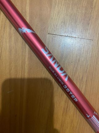 Bastón de trekking rojo