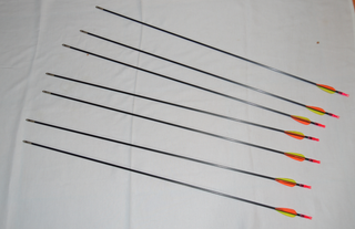 Arco de poleas potencia variable muchos accesorios