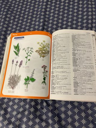 Diccionari Escolar Català-Castellà / Castellano...