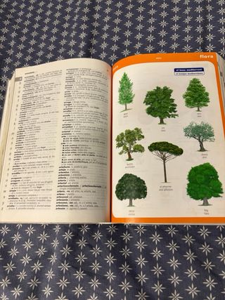 Diccionari Escolar Català-Castellà / Castellano...