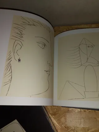 Picasso y los libros