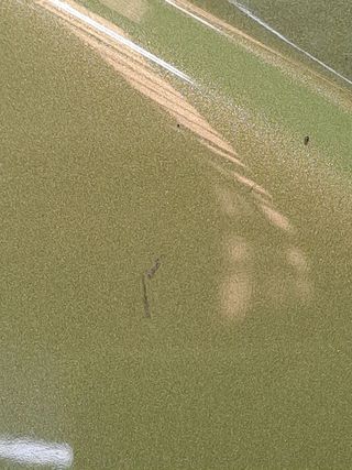 ALETA DELANTERA IZQUIERDA CITROEN C3 (8)