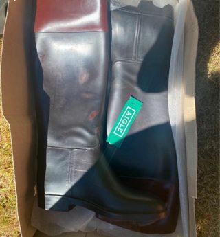 Botas de Hípica Aigle Marrón/Negro