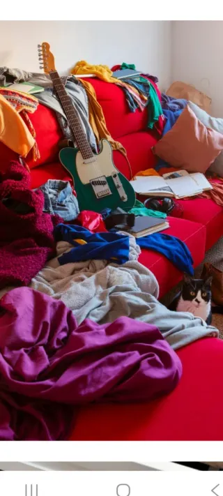 Organizacion y limpieza en el hogar