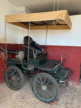 Carro maratón caballos/mulos