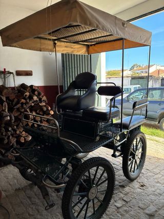 Carro maratón caballos/mulos